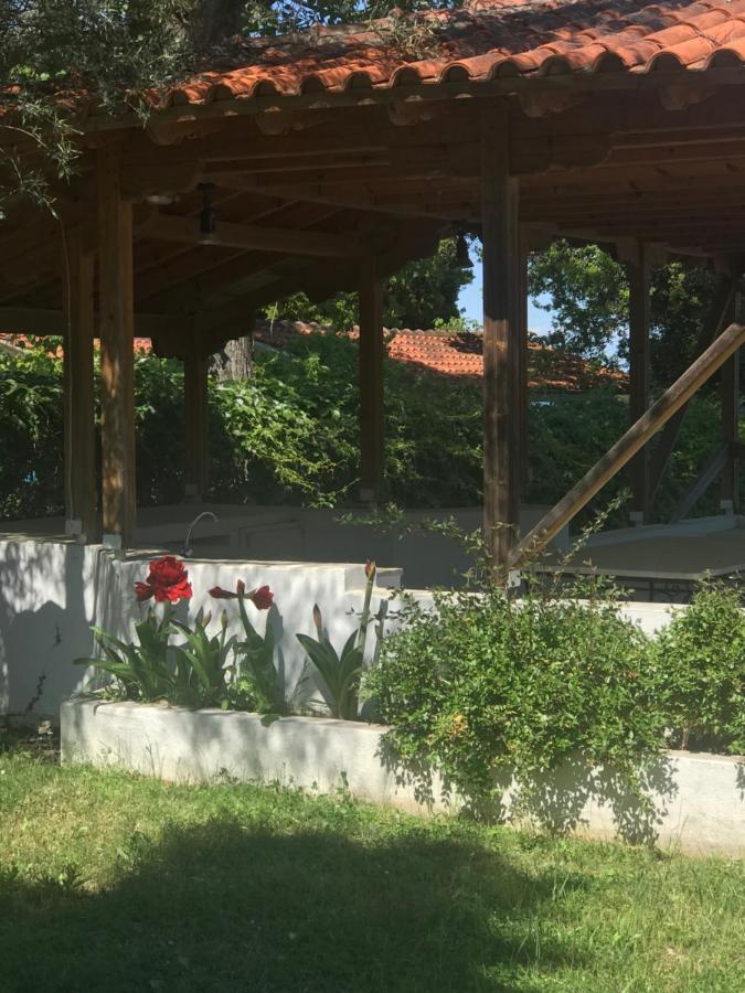 Zeusplace Seaside Home Private Beach And Parking Plaka Litochorou Zewnętrze zdjęcie